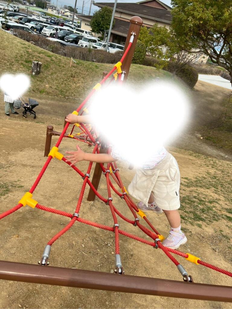 ともぱ!たわらもとのアスレチック遊具であそぶ様子